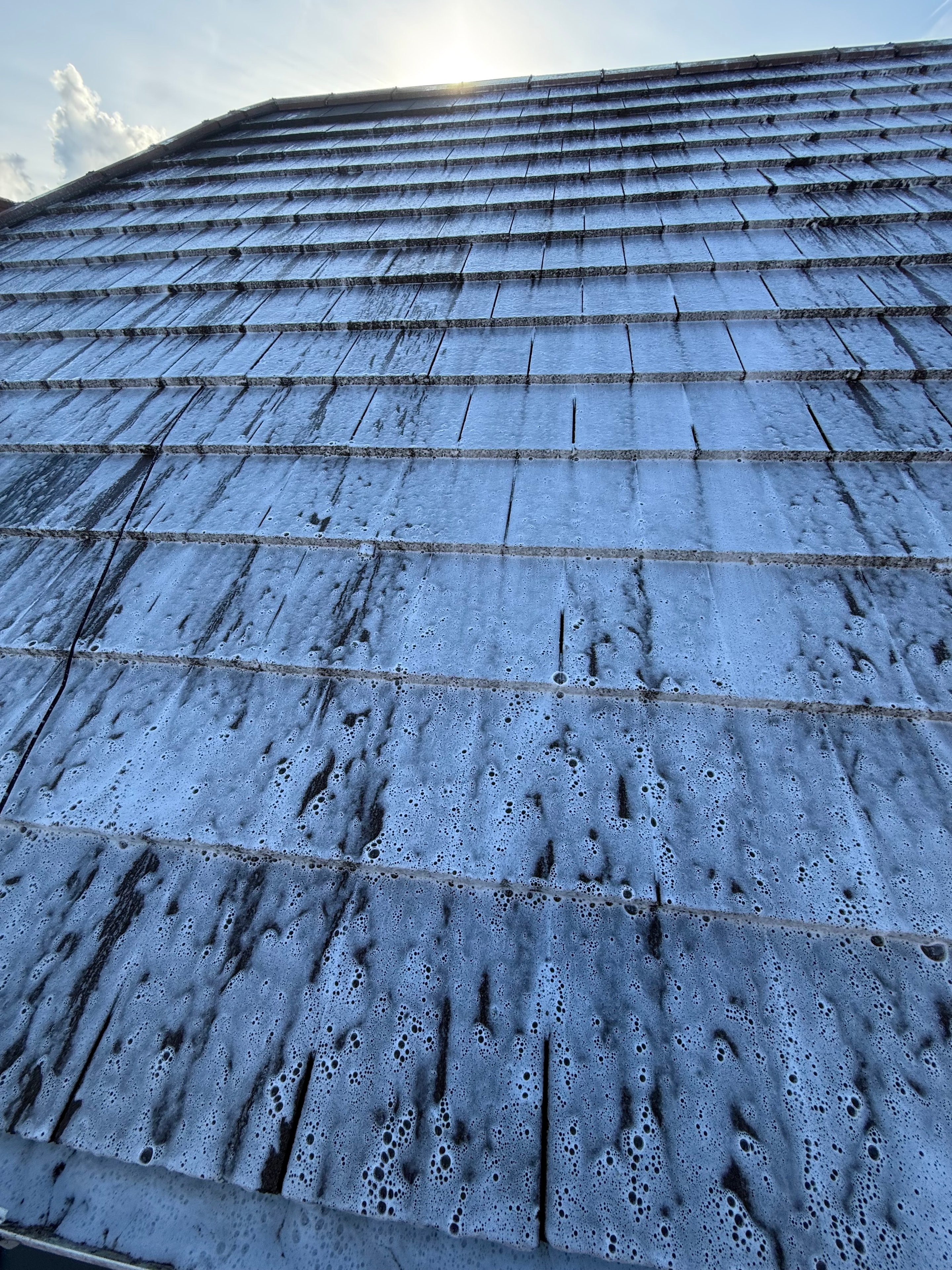 Roof Cleaning